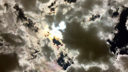 Dream Bubble One Minute Nature Bath 61