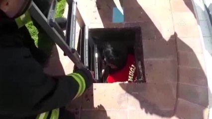 Bodrum'da Havuzun Denge Tankına Düşen Köpek Kurtarıldı