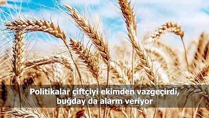 Türkiye ve dünya gündeminde neler oldu? İşte Bir Bakışta Bugün | 1 Mayıs 2019