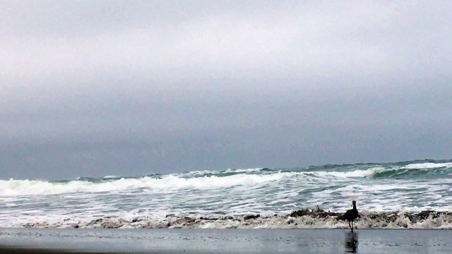 Dream Bubble One Minute Nature Bath 63