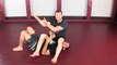 Bicep Slicer Armbar Finish - How To Fight - The Fight Smart Training Program - MMA Technique Videos