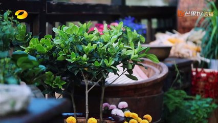 《向往的生活 第三季》第2期_part1/2