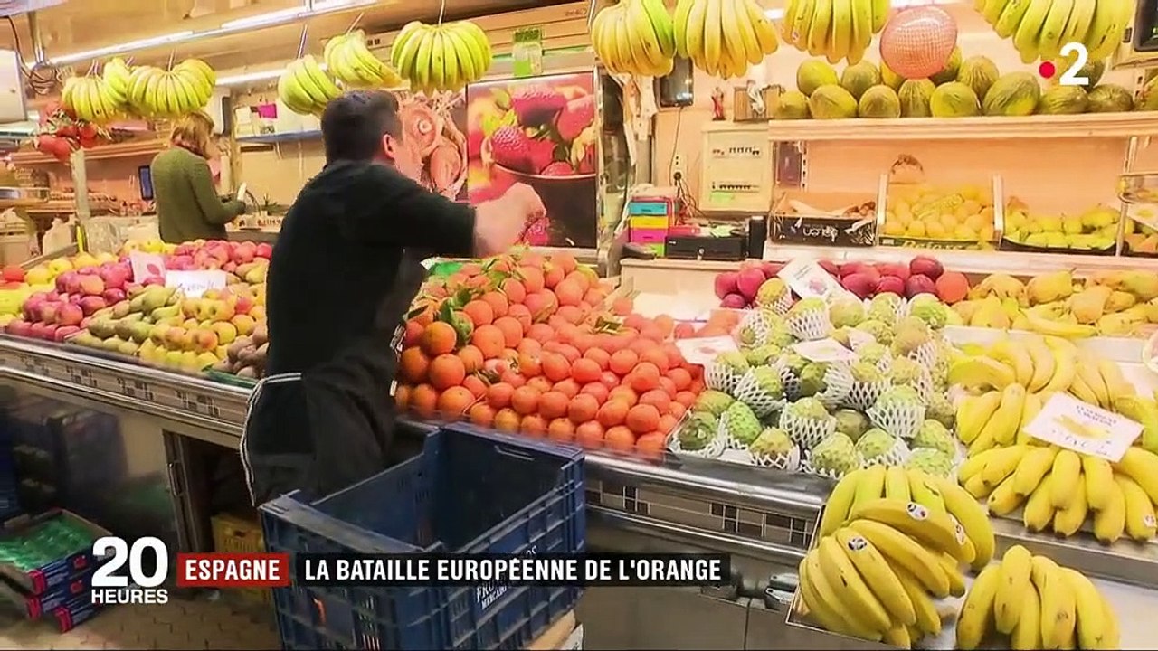 Espagne : l'orange menacée par la surproduction mondiale