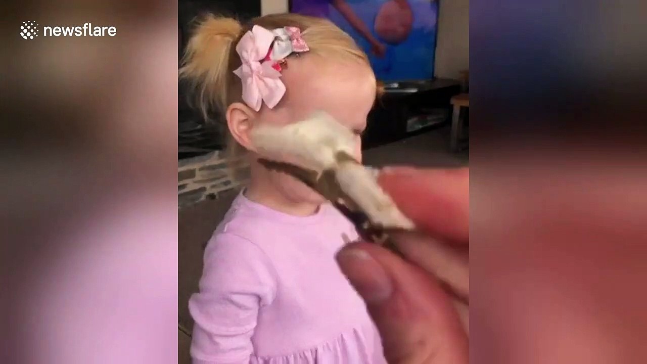 Two adorable toddlers with two hilarious views on hair clips