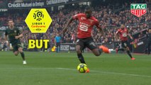 But Adrien HUNOU (3ème) / Stade Rennais FC - AS Monaco - (2-2) - (SRFC-ASM) / 2018-19