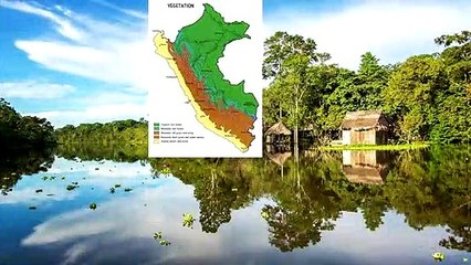 LA SELVA DEL PERÚ DOCUMENTAL