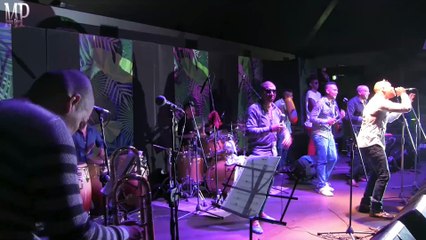 Barbaro Fines Y Su Mayimbe - El Animal