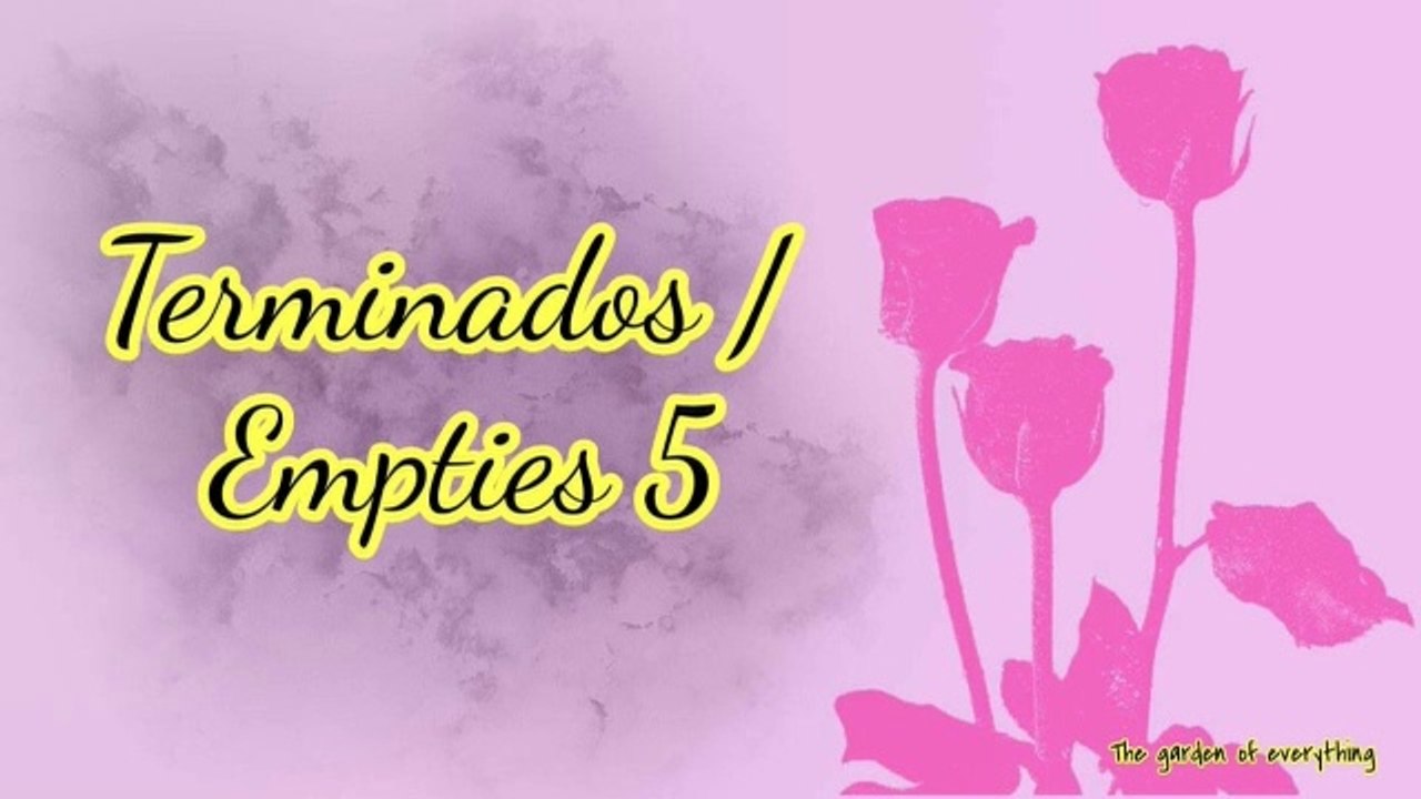Terminados 5_
