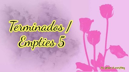 Terminados 5_