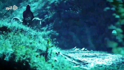 الإعلان الثاني لـ الحلقة 84 من مسلسل السلطان عبدالحميد