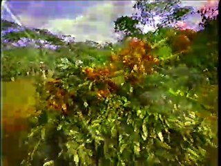 COMERCIALES MÉXICO 1997 (4)