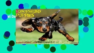 Just Dachshund Puppies 18-Month Calendar