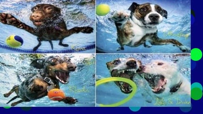 Underwater Dogs 2 Jigsaw Puzzle