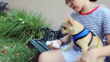 LOS CUIDADOS DE LUCAS