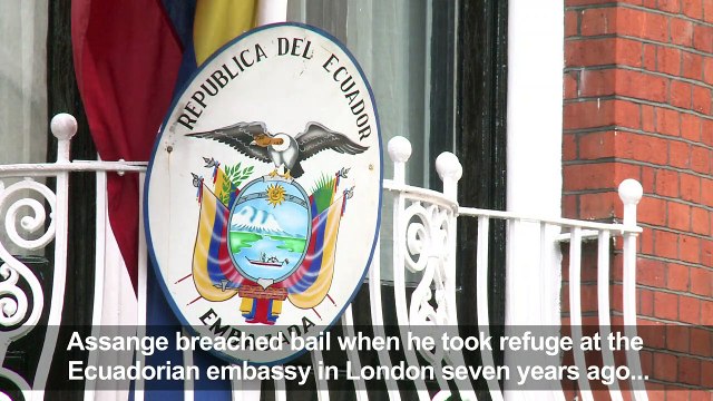 Wikileaks Julian Assange jailed for 50 weeks for UK bail breach