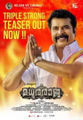 മധുരരാജ ഒരു BROBDINGNAGIAN ഹിറ്റെന്ന് മമ്മൂട്ടി