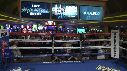 FULL UNDERCARD WORKOUTS