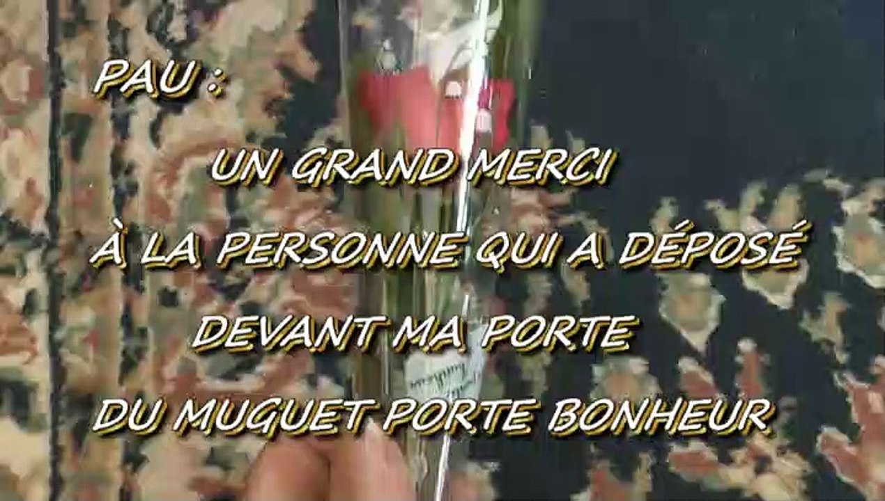 LES W-D.D. MICHOU NEWS - 1ER MAI 2019 - PAU - UN GRAND MERCI À LA PERSONNE QUI A DÉPOSÉ DEVANT MA PORTE DU MUGUET PORTE BONHEUR