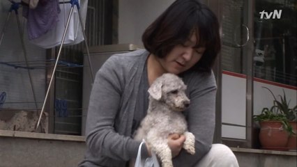 파혼 당한 여자 + 유기견 = 위로?