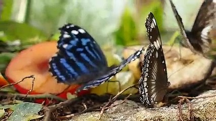 맥스카지노 바로가기 ▶  yong79。com 안전놀이터 ざょ비워주고