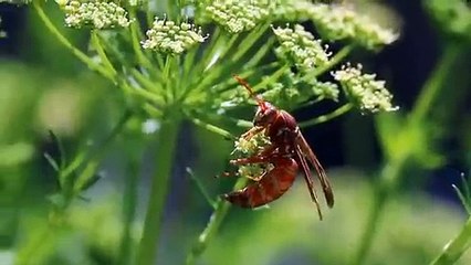 M카지노 바로가기 ▶  yong79。com 안전놀이터추천 どめ이런