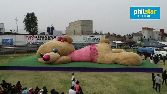 Unbearably cute: Giant teddy bear in Mexico