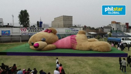 Unbearably cute: Giant teddy bear in Mexico