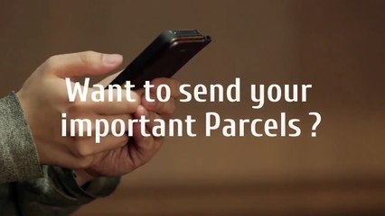 Send Your Important Parcels  With Our Sea Freight Courier Services