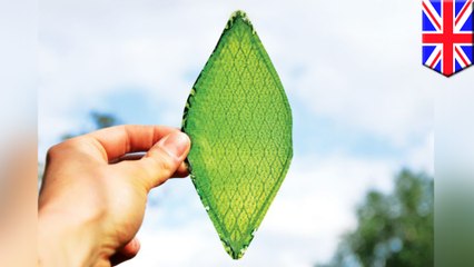 'Biosolar leaf' project aims to tackle air pollution in London