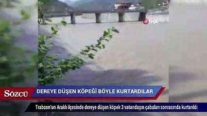 下载视频: Dereye düşen köpeği böyle kurtardılar