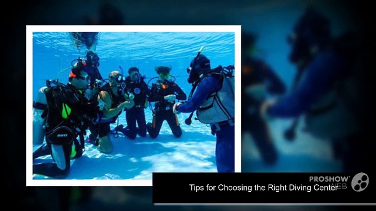 Tips for Choosing the Right Diving Center