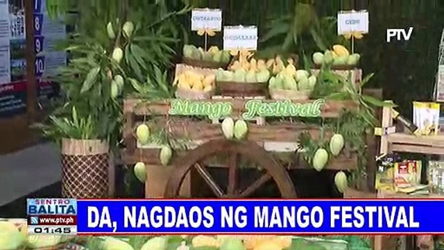 DA, nagdaos ng mango festival; Produksyon ng mangga, palalakasin pa