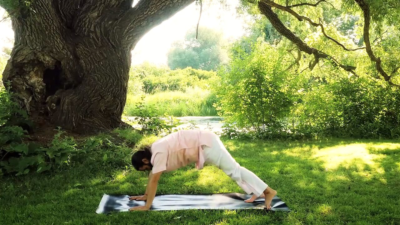 AUTHENTIC YOGA TEACHINGS THROUGH ONLINE YOGA CLASSES WITH YOGA MASTER YOGRISHI VISHVKETU