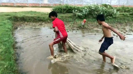 Wow! Two Boys Caught A Big Catfish (2kg Catfish) With Cast Nets At Rice Field wh_HD