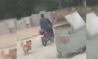 Köpeği motosiklete bağlayıp metrelerce koşturdular
