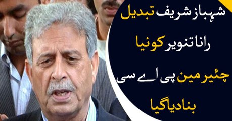 Rana Tanveer replaces Shahbaz Sharif, becomes chairman PAC