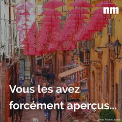 D'où sortent ces parapluies roses suspendus dans le centre de Grasse?