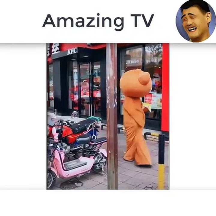 troll tiktok bear