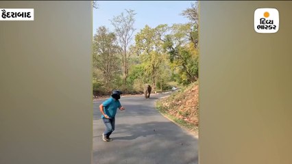 નજીકથી સેલ્ફી લેવાં જતાં હાથી ગુસ્સે થયો, જીપ પાછળ દોડતાં ટૂરિસ્ટે ભાગવું ભારે પડ્યું