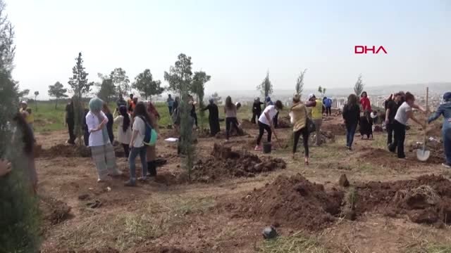 Şanlıurfa'da Kazada Ölen Sağlık Çalışanları İçin Fidan Dikildi