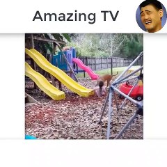 Dogs And Babies Are Best Friends