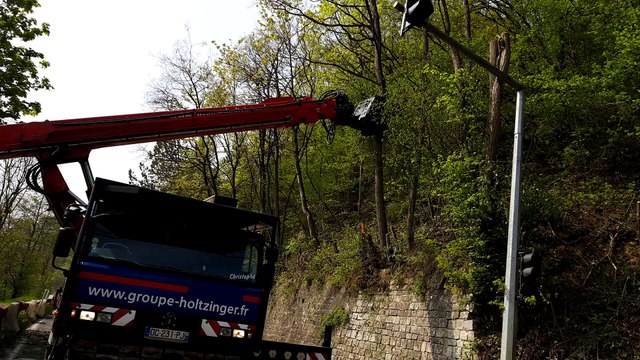 Elagage en cours des arbres de la côte Chapiron