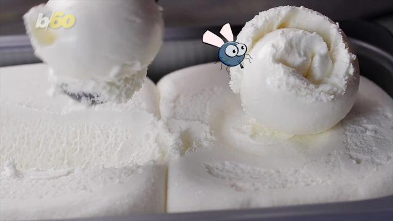 Would You Eat Insect Ice Cream? Scientists are Developing Bug-Based Foods for Sustainable Farming