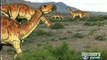 45 - DISCOVERY CHANNEL - PALEOWORLD: RAPTORES ASSASSINOS