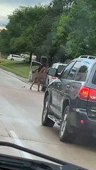 Overly Exposing Outburst Stops Traffic