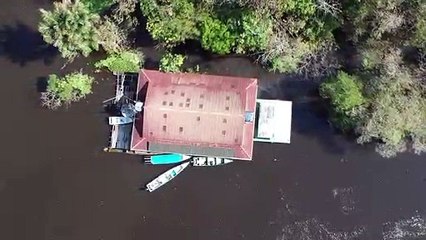 Santuários da biodiversidade mundial ameaçados no Brasil