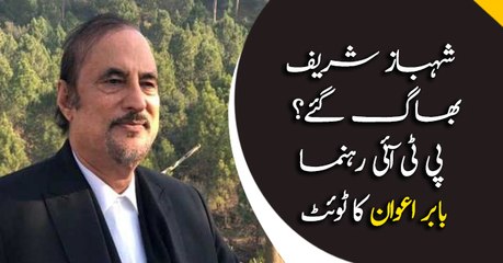 Babar Awan tweet about Shehbaz Sharif and his son