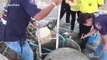 Cat rescued after spending three days stuck at the bottom of sewer in Thailand