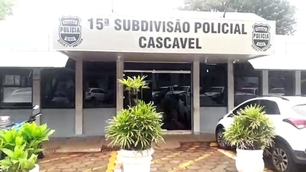 Delegada fala sobre golpistas que atuam pelo WhatsApp