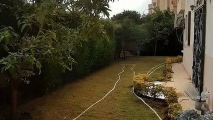 ground apartment for rent in beverly hills